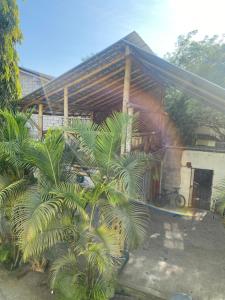 蒙塔尼塔Casa Bony的前面有棕榈树的房子
