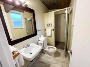 大熊湖OMEO Suites Big Bear的浴室配有卫生间、盥洗盆和淋浴。