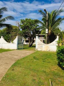 玉米岛Jackson Guest House的棕榈树庭院中的白色围栏