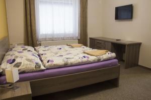 伊赫拉瓦Motel Pávov的一间卧室配有一张床、一张书桌和一台电视