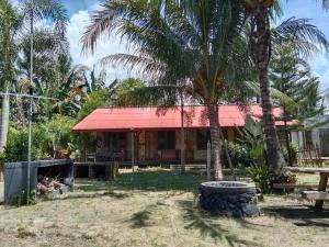 KruiC Point Krui的一座红色屋顶和棕榈树的房子