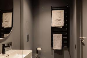 采西斯Kalnu dzīvoklis (The hill condo)的浴室配有盥洗盆、镜子和毛巾