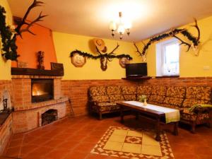 佩霍维采Villa Mariano的带沙发和壁炉的客厅