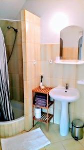 佩霍维采Villa Mariano的一间带水槽和淋浴的浴室