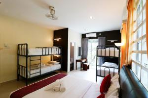 丹那拉打Golden Lodge的一间带两张双层床和一张沙发的卧室