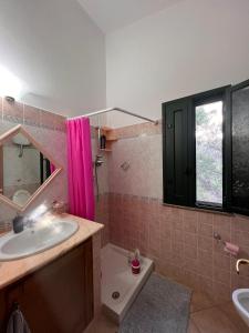 泰尔泰尼亚CASA DEPAU的一间带水槽和粉红色淋浴帘的浴室