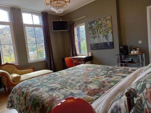WaulsortB&B Windsor - Guesthouse的一间卧室配有一张床、两个窗户和吊灯