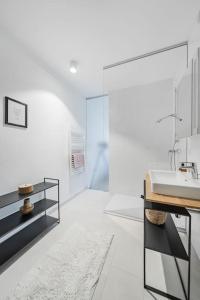 维也纳City Sky Studio mit Balkon Vienna的白色的浴室设有水槽和镜子
