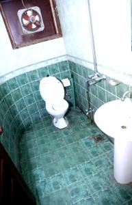 拉合尔Sapphire Inn Motel Lahore的绿色瓷砖浴室设有卫生间和水槽