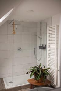 阿沙芬堡Altbau Appartement - klein aber oho的带淋浴的浴室和桌子上的植物