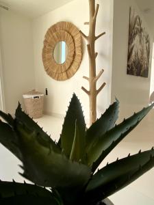 马赛LES SUITES LOVE 3 SPA VUE MER PISCINe的镜子里的一个大型绿色植物
