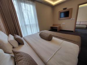 萨拉热窝温泉水疗酒店的一张位于酒店客房的大床,配有电视