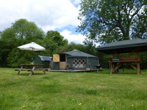 芬赫斯特Chestnut Yurt的一个带帐篷、野餐桌和雨伞的公园