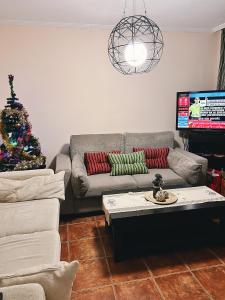 厄尔梅达诺Bungalow with 2 bedrooms, Playa la Tejita的带沙发和圣诞树的客厅