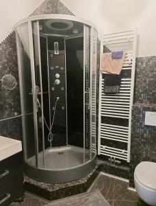 韦尔维耶Studio confort Verviers的带淋浴、水槽和卫生间的浴室
