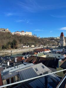 帕绍24-7 Apartment Passau的山丘上建筑的城市美景