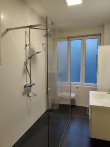 圣特雷登B&B Leopold & Vakantiewongingen的一间带玻璃淋浴和卫生间的浴室