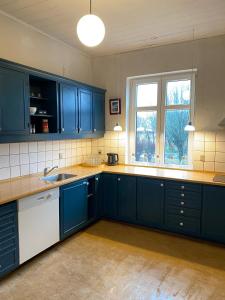 HolebyOnlySleep Femern的厨房配有蓝色橱柜、水槽和窗户。