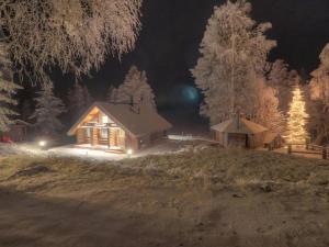 OikarainenHoliday Home Vanttausranta by Interhome的小木屋,晚上有雪灯