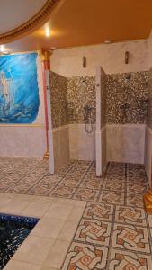 赫梅利尼茨基竞技场酒店的带淋浴的浴室和马赛克地板。