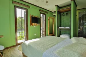 沃斯科波亚Vila Strugu的绿色卧室配有两张床和电视