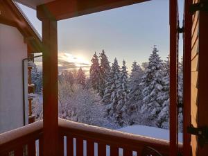 霍茨科波霍尔耶Luxury apartments Prežin的从窗户可欣赏到白雪 ⁇ 的森林景色