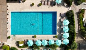伊斯基亚Botania Relais & Spa - The Leading Hotels of the World的大型游泳池的顶部景色