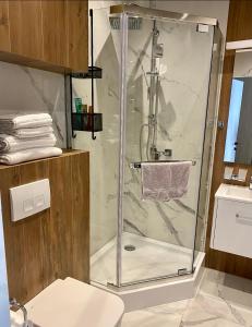 伊万诺-弗兰科夫斯克Miracle Place的浴室里设有玻璃门淋浴