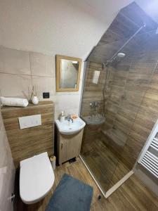 扎布利亚克Cottage Mila的带淋浴、卫生间和盥洗盆的浴室