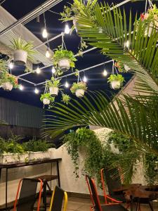 胡志明市Amango Dorm的一间设有植物和灯具的桌子的房间