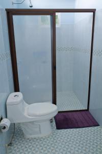 SacalumSaak Luúm Ruta Puuc的一间带卫生间和淋浴的浴室