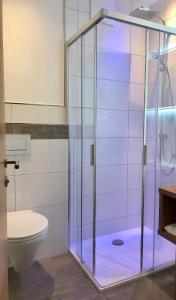 普法尔韦尔芬沃卡里奥旅馆的一间带卫生间的浴室内的玻璃淋浴间