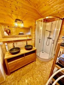 Saint-Laurent-en-GrandvauxRefuge des Cimes的小屋内的浴室设有2个盥洗盆和淋浴。