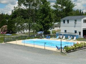 巴港Belle Isle Motel的庭院内带椅子的大型游泳池