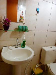 戈亚斯州上帕莱索Villa Ágape - Chapada dos Veadeiros的一间带水槽和卫生间的浴室