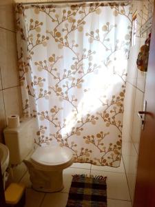 戈亚斯州上帕莱索Villa Ágape - Chapada dos Veadeiros的浴室配有带卫生间的淋浴帘