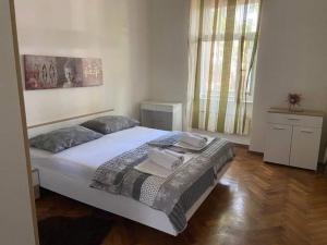 里耶卡Alex的一间卧室配有一张大床和两个枕头