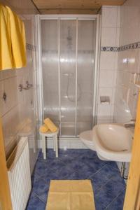 萨菲登安斯泰内嫩米尔Pension Schmiderer - Vorderkasbichlhof的带淋浴、盥洗盆和卫生间的浴室