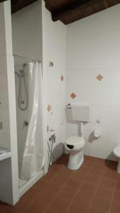 CammarataAgriturismo Casalicchio的一间带卫生间和淋浴的浴室