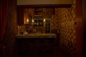坎帕拉Green Villa Apartments的黑暗的房间里设有水槽的厨房