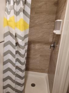 圣地亚哥Hotel Gigi的浴室内配有淋浴帘。