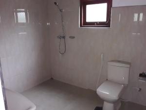 阿鲁特伽马C-Lanka Guest House的带淋浴和卫生间的浴室以及窗户。