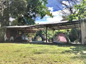 科隆蒙特阿凡根生态冒险乐园度假屋的田野凉亭下的一组帐篷