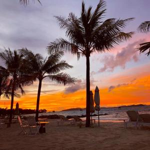 富国Gold Coast Phu Quoc Beach Resort的棕榈树和椅子海滩上的日落
