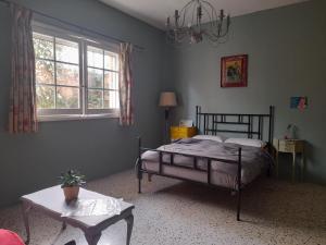 圣朱利安斯波西米亚旅馆的一间卧室配有一张床、一张桌子和一个窗户。