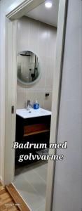 锡姆里斯港ÖSTERLEN PARKEN的一间带镜子和水槽的浴室