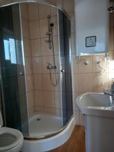 PcimCicha Chata Kudłacze的带淋浴、卫生间和盥洗盆的浴室