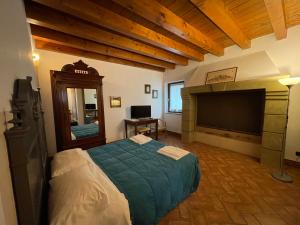 诺加罗莱罗卡Agriturismo Corte Spino的一间卧室配有一张床和一台平面电视