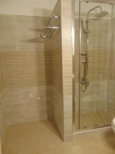 达西亚阿夫拉别墅酒店的带淋浴的浴室和玻璃门