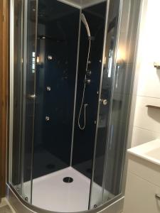 VorderstoderLandhaus Gaisriegl的浴室里设有玻璃门淋浴
